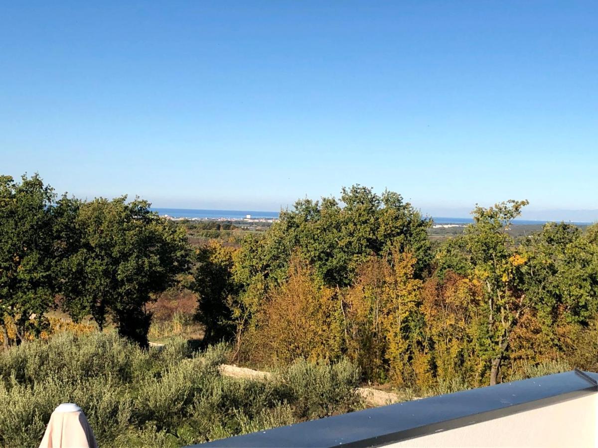 Villa Boiky - Private Pool And Amazing Sea View, Istria Materada Ngoại thất bức ảnh