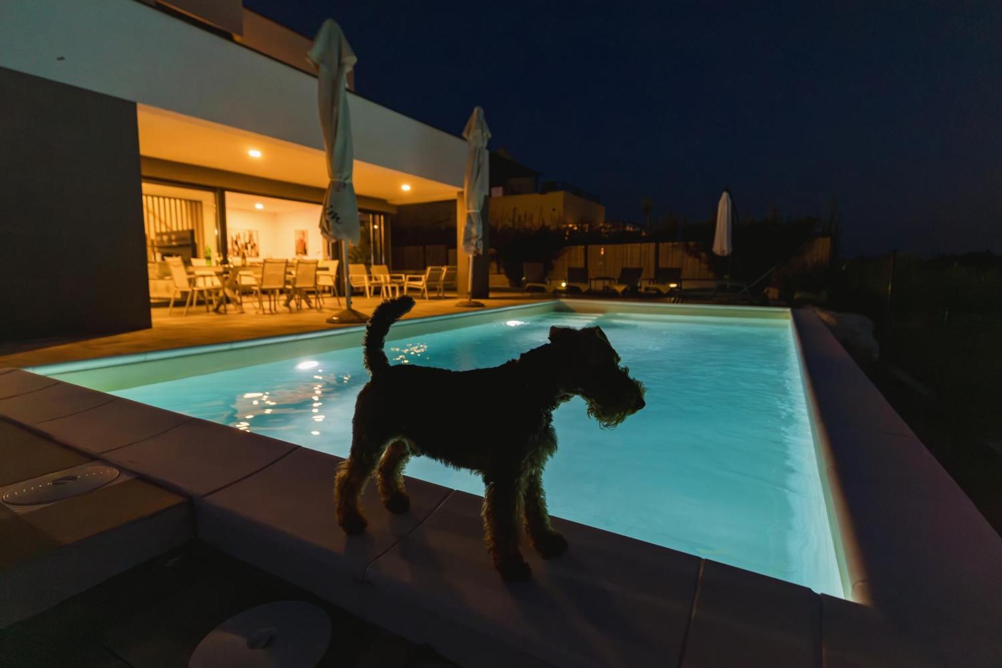 Villa Boiky - Private Pool And Amazing Sea View, Istria Materada Ngoại thất bức ảnh