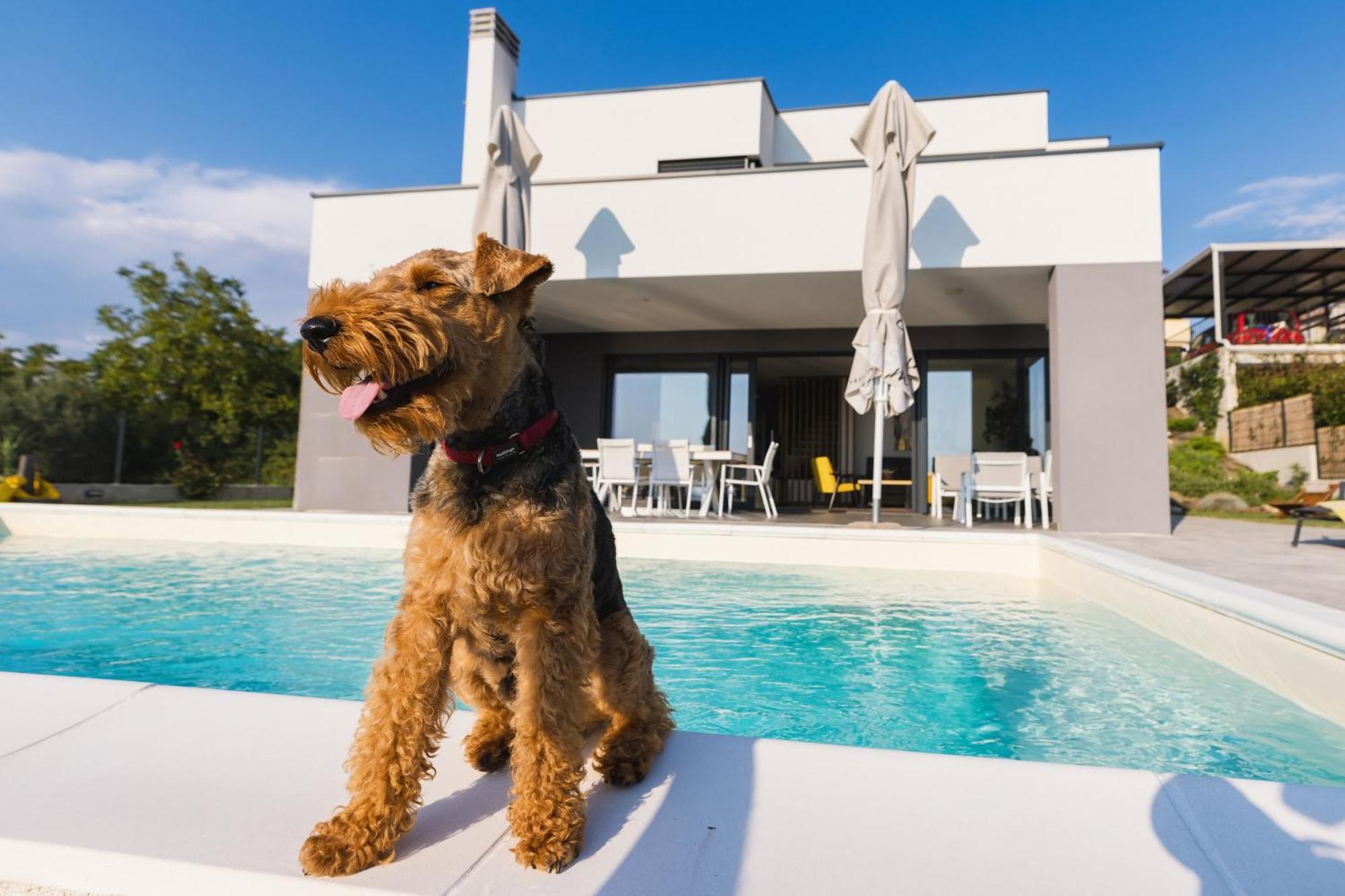 Villa Boiky - Private Pool And Amazing Sea View, Istria Materada Ngoại thất bức ảnh